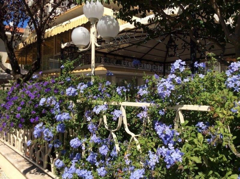 Hotel Donatello Чезенатико Экстерьер фото